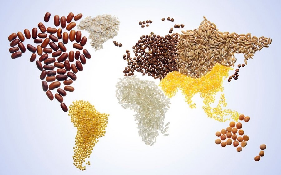 World Food Day