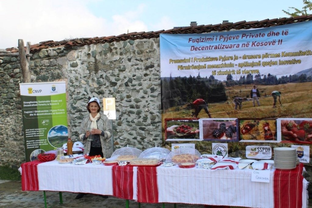 Fourth Chestnut Day in Junik (Kosovo)