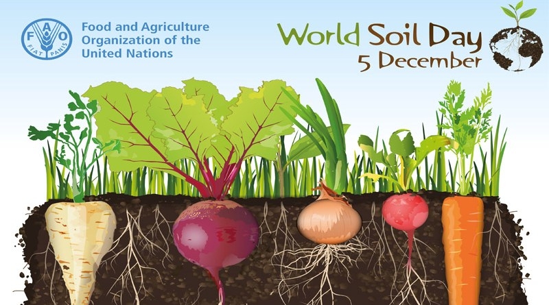 World Soil Day 2017