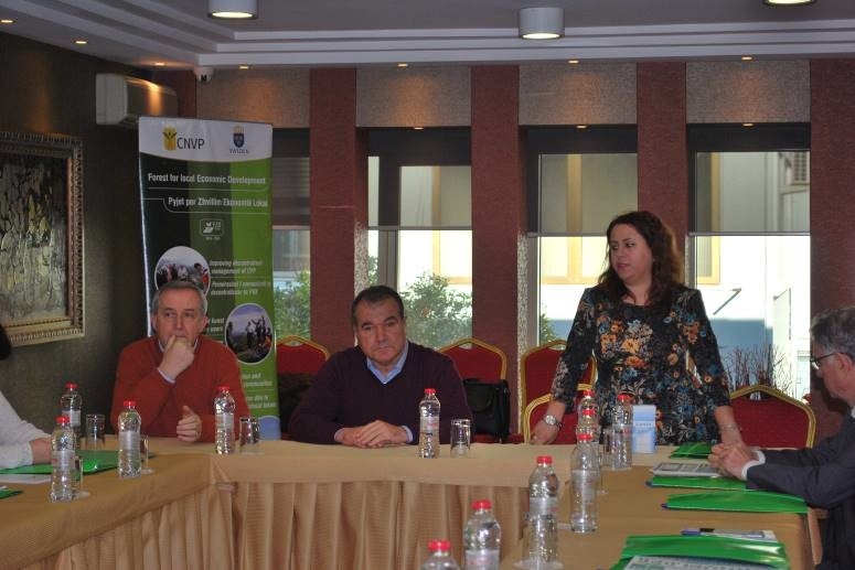 Strengthening civil society in Albania’s forestry sector