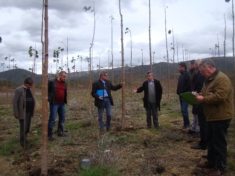 Agro-forestry used to mark 95th anniversary of Albanian Forest Service