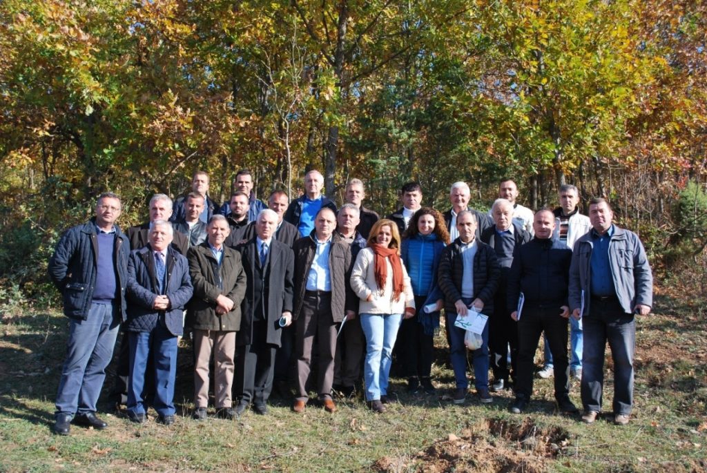Appropriate forest management practices for coppice forests