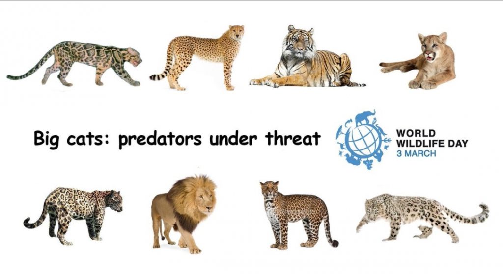 World Wildlife Day