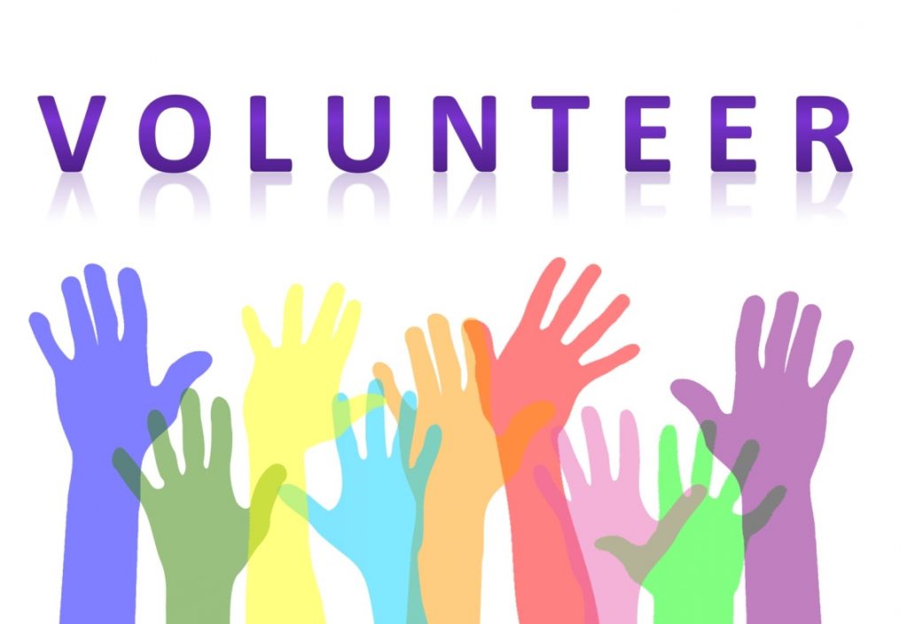 Graduate Intern Programme – CNVP Macedonia