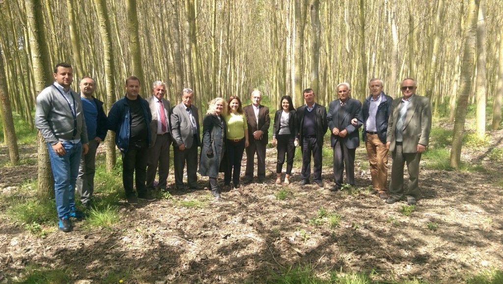 Field training on fast growing tree species in Kruja