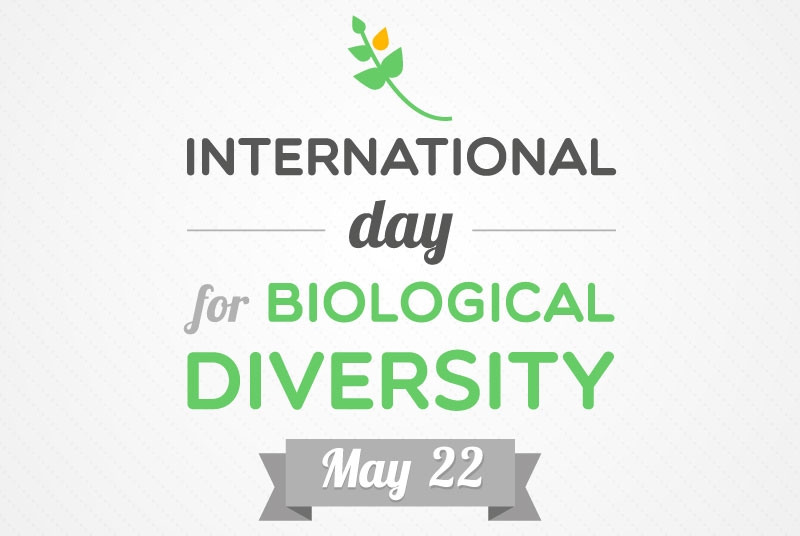 International Day for Biological Diversity