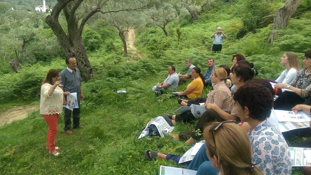 Sustainable harvesting of medicinal plants in Kruja