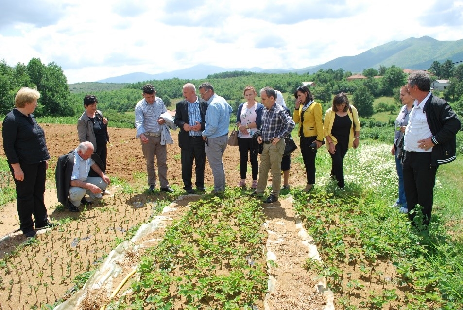 Increased incomes for rural families in Kukes region