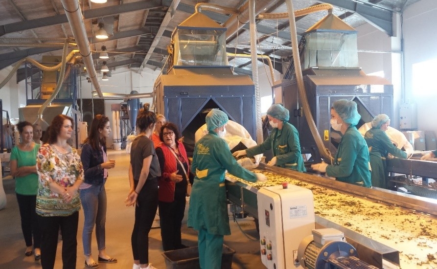 Women’s role in forestry, value chain and decision-making processes
