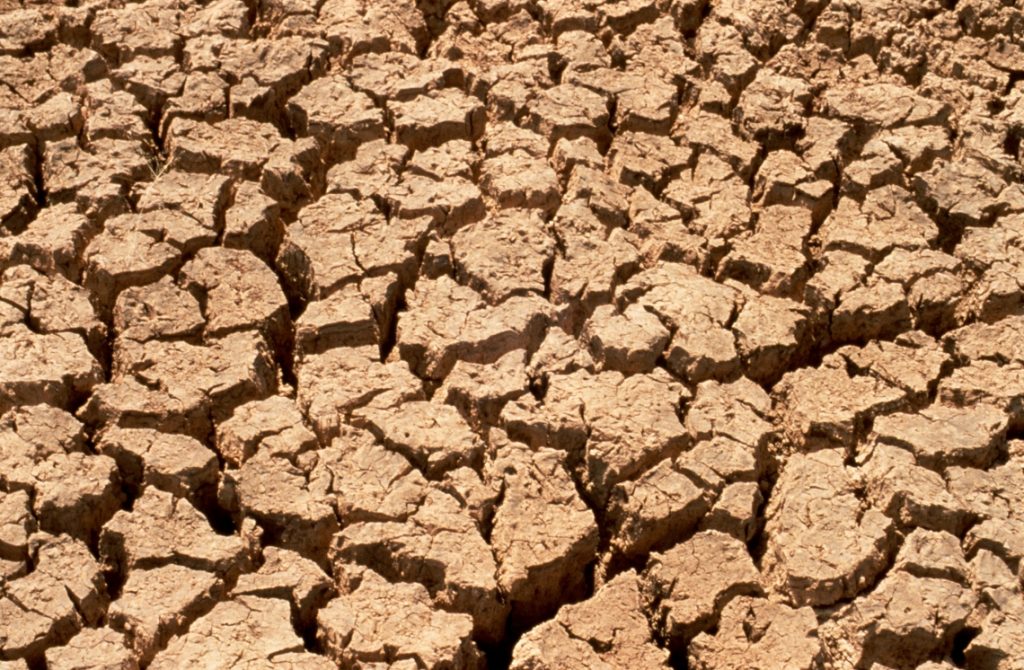 World Day to Combat Desertification and Drought
