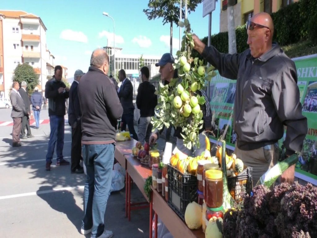 CNVP Albania supports a local fair in Hasi Municiaplity, Kukes