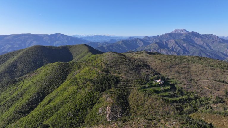 Rehabilitation of forest ecosystems through project interventions in the Drin basin (case study of afforestation & restoration of degraded forest areas)