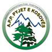 Pyjet e kosoves